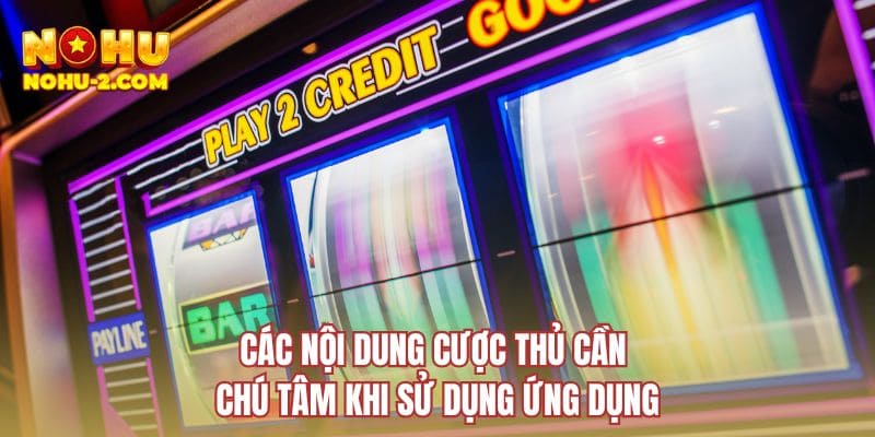 Các nội dung cược thủ cần chú tâm khi sử dụng ứng dụng